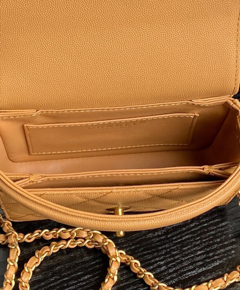 Chanel Mini Flap Bag With Top Handle AS5164